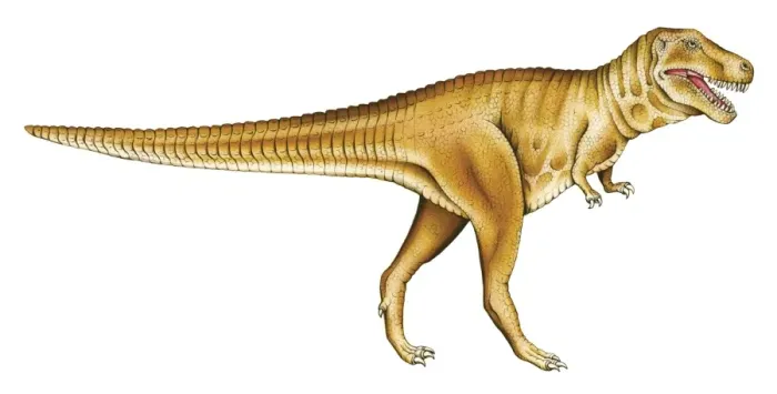 Framed Print : Tyrannosaurus rex Framed Print : Tyrannosaurus rex