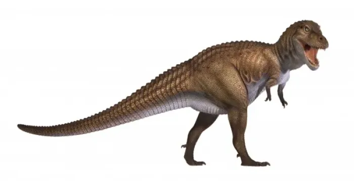Framed Print : Tyrannosaurus rex Framed Print : Tyrannosaurus rex