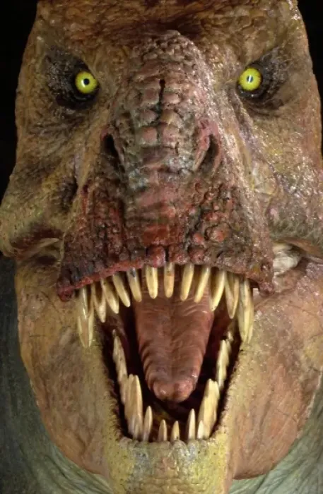 Framed Print : Tyrannosaurus rex Framed Print : Tyrannosaurus rex