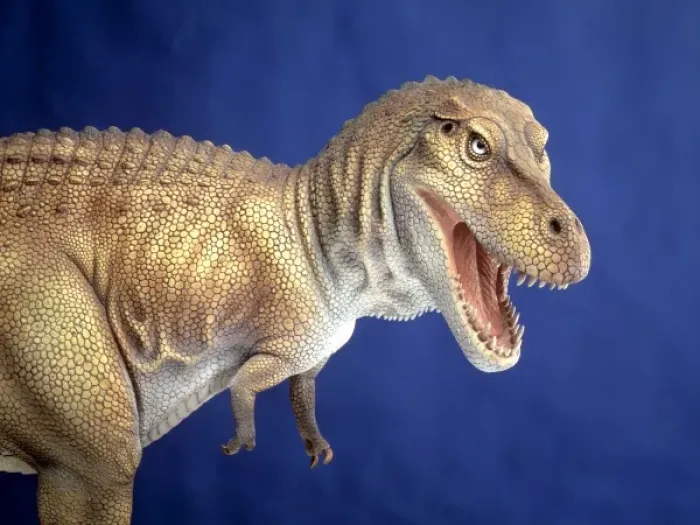 Framed Print : Tyrannosaurus rex Framed Print : Tyrannosaurus rex