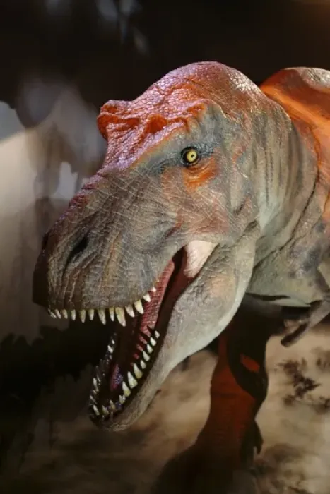 Framed Print : Tyrannosaurus rex Framed Print : Tyrannosaurus rex