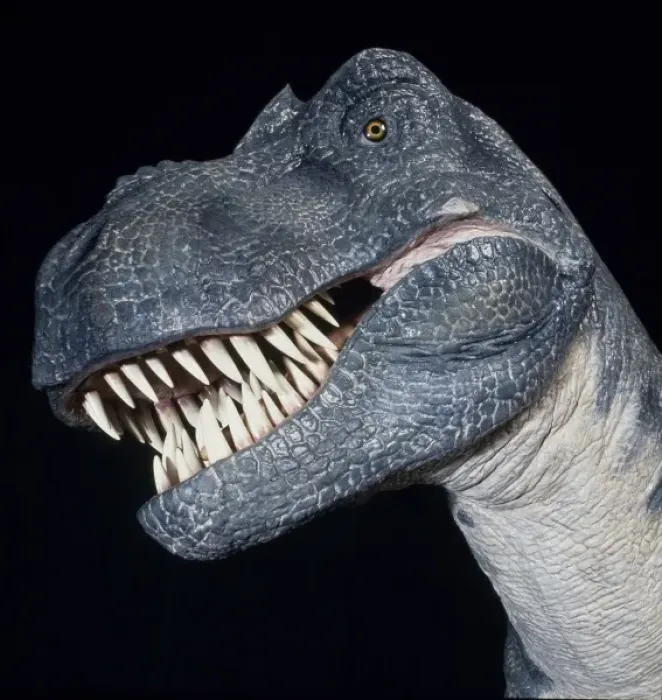 Framed Print : Tyrannosaurus rex Framed Print : Tyrannosaurus rex