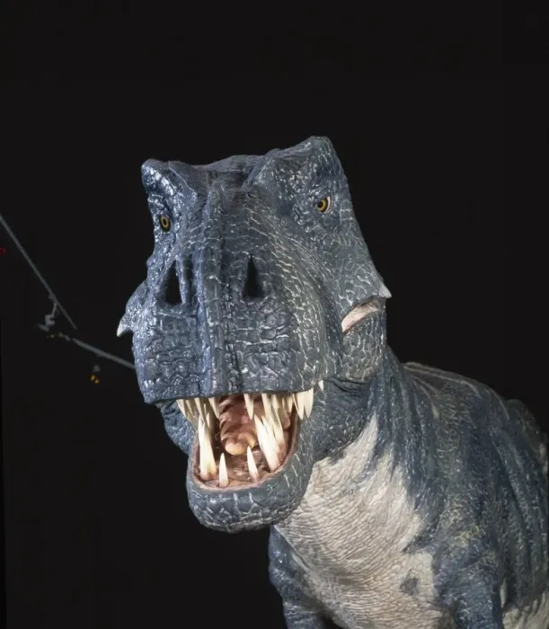 Framed Print : Tyrannosaurus rex Framed Print : Tyrannosaurus rex
