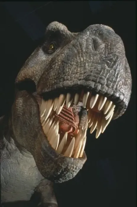 Framed Print : Tyrannosaurus rex Framed Print : Tyrannosaurus rex