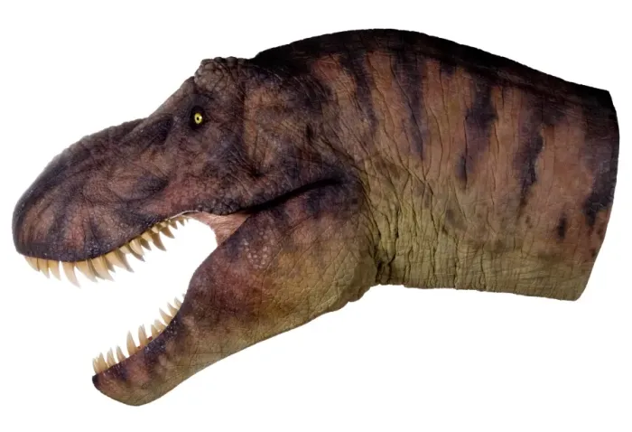 Framed Print : Tyrannosaurus rex Framed Print : Tyrannosaurus rex
