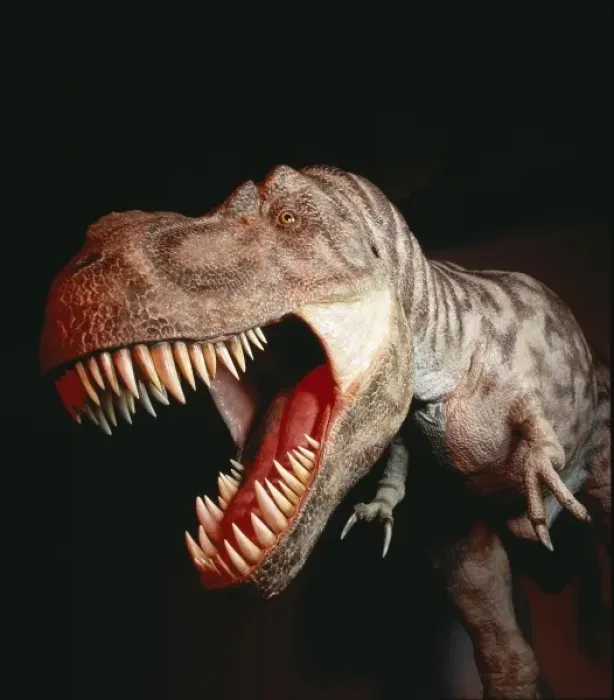 Framed Print : Tyrannosaurus rex Framed Print : Tyrannosaurus rex
