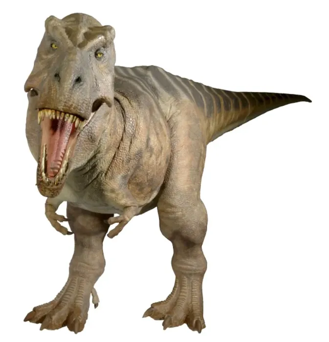 Framed Print : Tyrannosaurus rex Framed Print : Tyrannosaurus rex