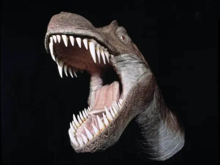 Framed Print : Tyrannosaurus rex Framed Print : Tyrannosaurus rex