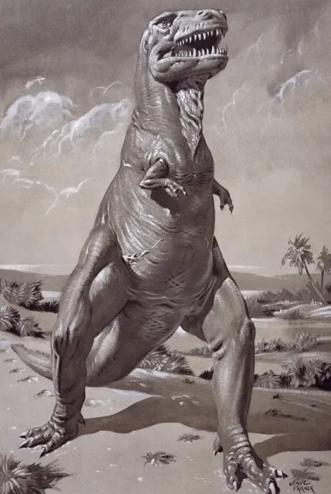 Framed Print : Tyrannosaurus rex Framed Print : Tyrannosaurus rex