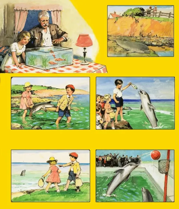 Framed Print : Out and About with Uncle Ben: Playing with dolphins Framed Print : Out and About with Uncle Ben: Playing with dolphins