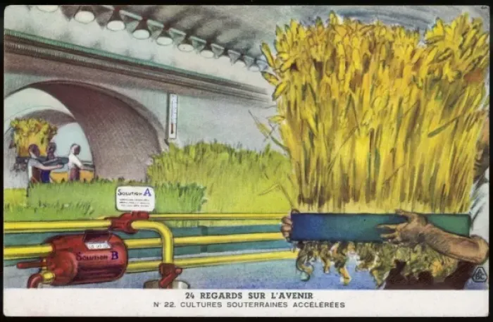 Framed Print : Underground Harvesting Framed Print : Underground Harvesting