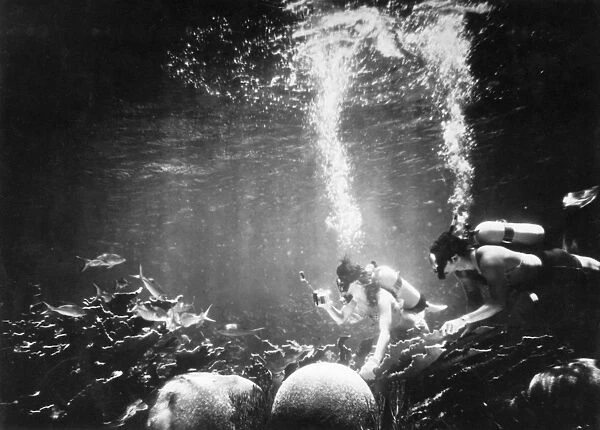 Underwater Habitat. Diving chemists taking water samples for analysis at