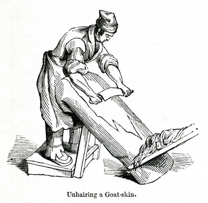 Framed Print : Unhairing a goatskin at a leather factory, south London 1842 Framed Print : Unhairing a goatskin at a leather factory, south London 1842