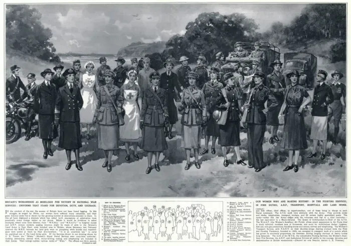 Framed Print : Uniformed female workers in British war services, April 1941 Framed Print : Uniformed female workers in British war services, April 1941