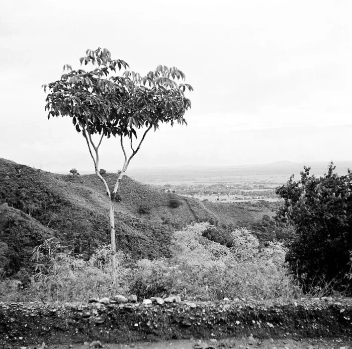 Framed Print : Unknown - Unidentified Tropical Location Framed Print : Unknown - Unidentified Tropical Location