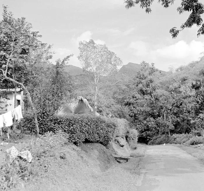 Framed Print : Unknown - Unidentified Tropical Location Framed Print : Unknown - Unidentified Tropical Location