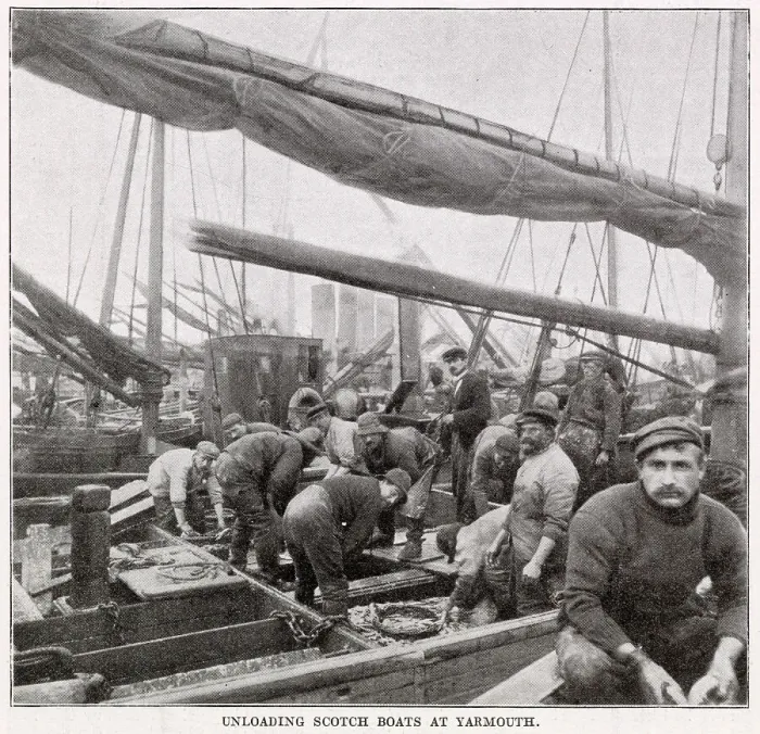 Framed Print : Unload Scotch Boats at Great Yarmouth. Date: November 1902 Framed Print : Unload Scotch Boats at Great Yarmouth. Date: November 1902