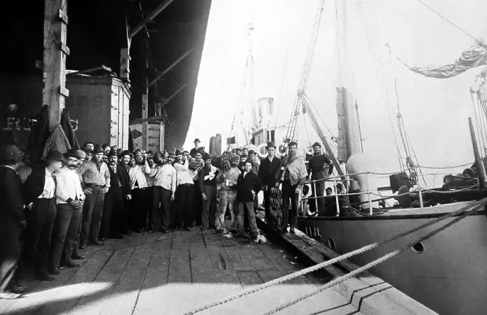 Framed Print : Unloading a banana boat in New Orleans, early 1900s Framed Print : Unloading a banana boat in New Orleans, early 1900s
