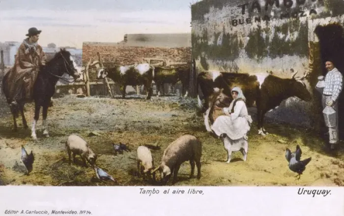 Framed Print : Uruguay - Cattle ranch - Farmyard scene Framed Print : Uruguay - Cattle ranch - Farmyard scene