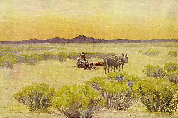 USA  /  Arizona Desert 1923