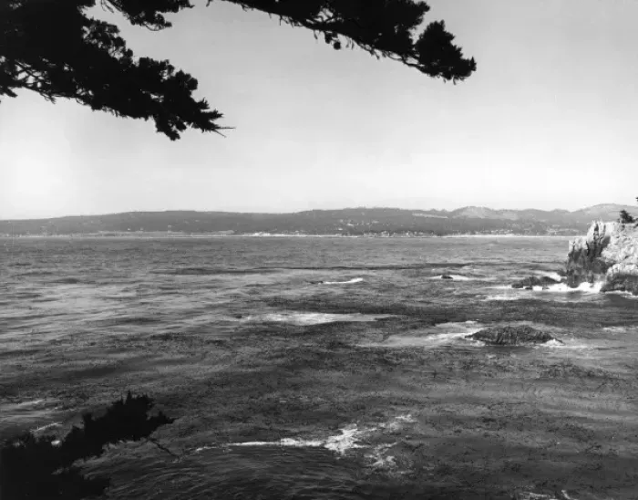 Framed Print : USA / Point Lobos Framed Print : USA / Point Lobos