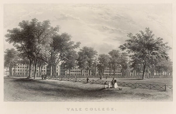 USA Yale Univ 1876