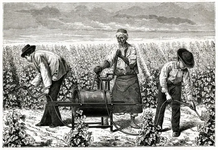 Framed Print : Using Riley spray on greenfly in a vineyard, Algeria 1885 Framed Print : Using Riley spray on greenfly in a vineyard, Algeria 1885