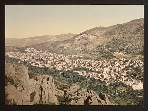 The vale of Napulus, (i. e. Nablus), Holy Land