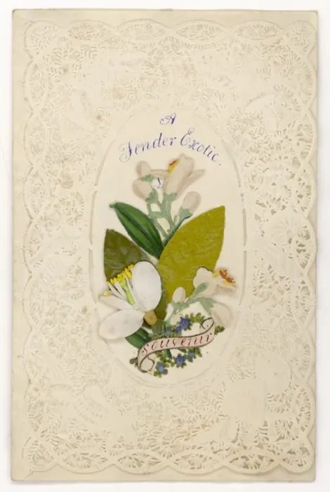 Framed Print : Valentine Card Framed Print : Valentine Card