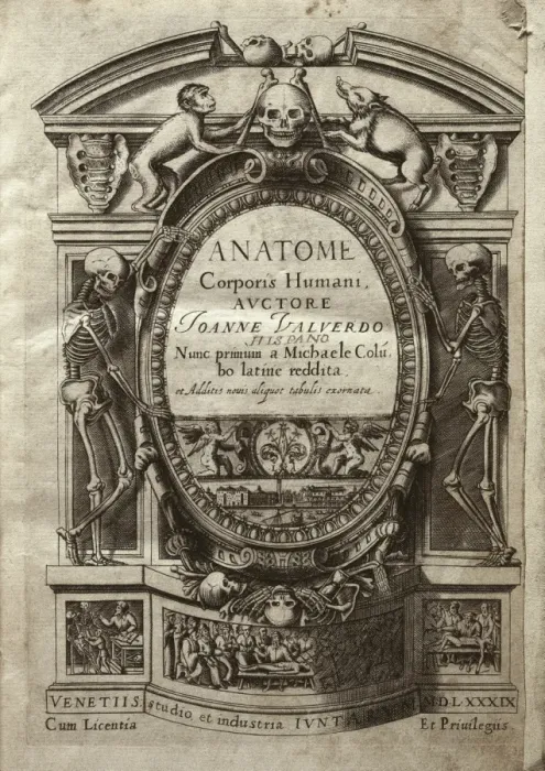 Framed Print : VALVERDE DE AMUSCO, Juan (1525-1588). Anatome Framed Print : VALVERDE DE AMUSCO, Juan (1525-1588). Anatome