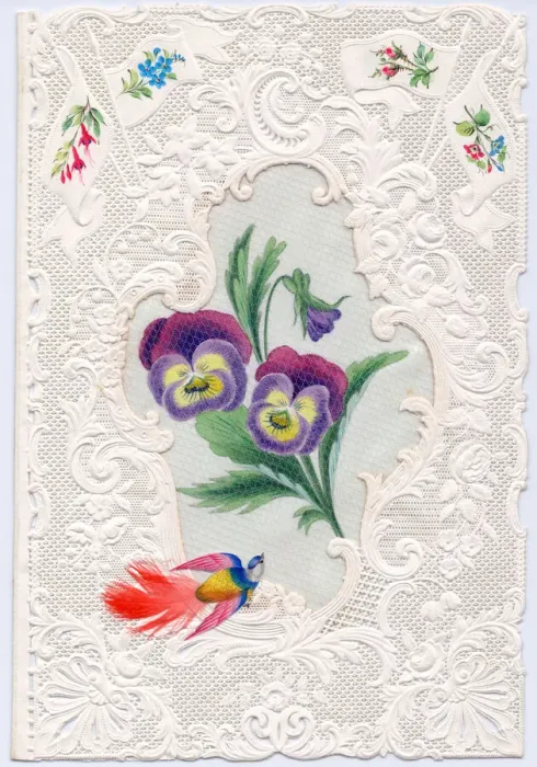 Framed Print : Variegated flowers and a bird on a paper lace greetings card Framed Print : Variegated flowers and a bird on a paper lace greetings card