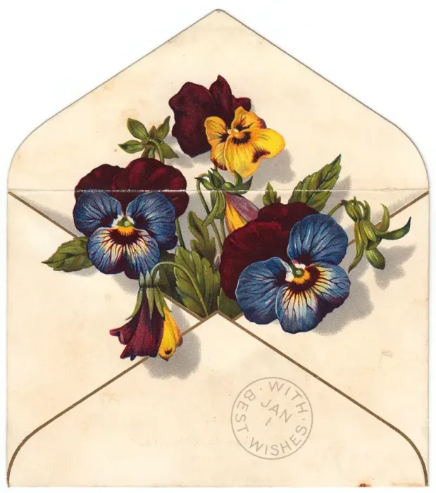 Framed Print : Variegated pansies in an envelope on a New Year card Framed Print : Variegated pansies in an envelope on a New Year card