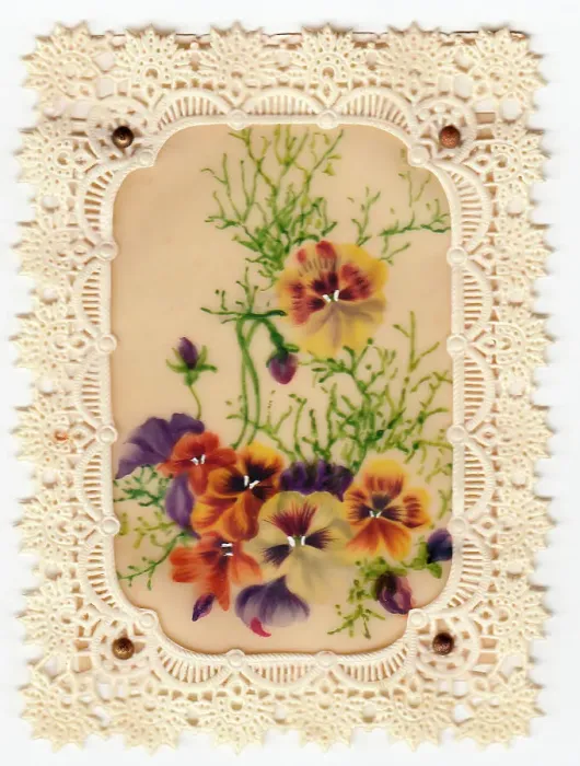 Framed Print : Variegated pansies on a lacy-edged greetings card Framed Print : Variegated pansies on a lacy-edged greetings card