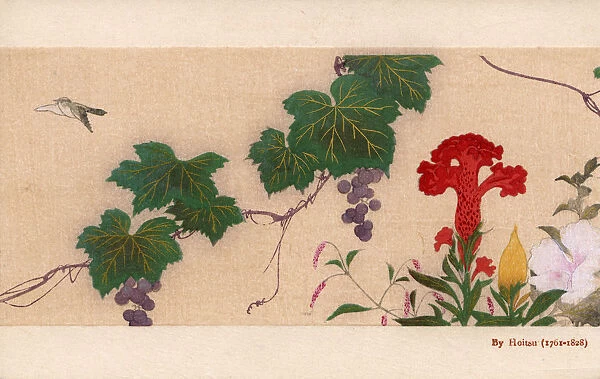 Variety of flowers, plants and grapes by Sakai Hoitsu