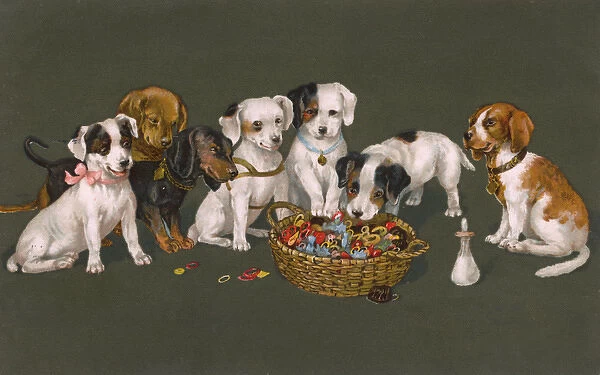 A variety of Puppies eyeing up a basket of threads