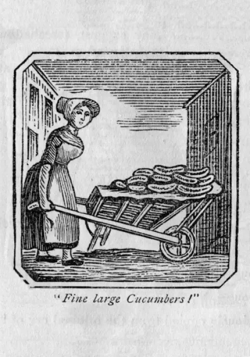 Framed Print : Vegetable seller (cucumbers) Framed Print : Vegetable seller (cucumbers)