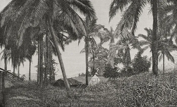 Framed Print : Vegetation on the right bank of the Congo River at Chionzo Framed Print : Vegetation on the right bank of the Congo River at Chionzo