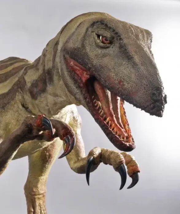 Framed Print : Velociraptor Framed Print : Velociraptor