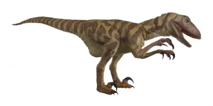 Framed Print : Velociraptor Framed Print : Velociraptor