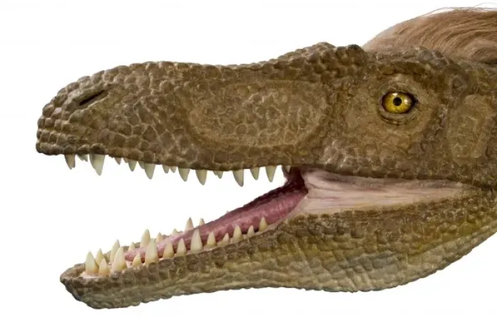 Framed Print : Velociraptor Framed Print : Velociraptor