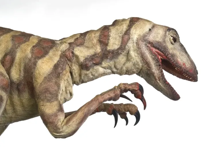 Framed Print : Velociraptor