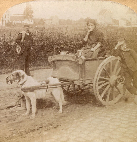 Vendor with dog cart, Antwerp, Belgium
