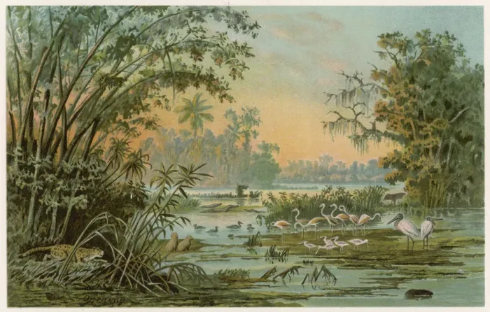 Framed Print : VENEZUELA / ORINOCO 1894 Framed Print : VENEZUELA / ORINOCO 1894