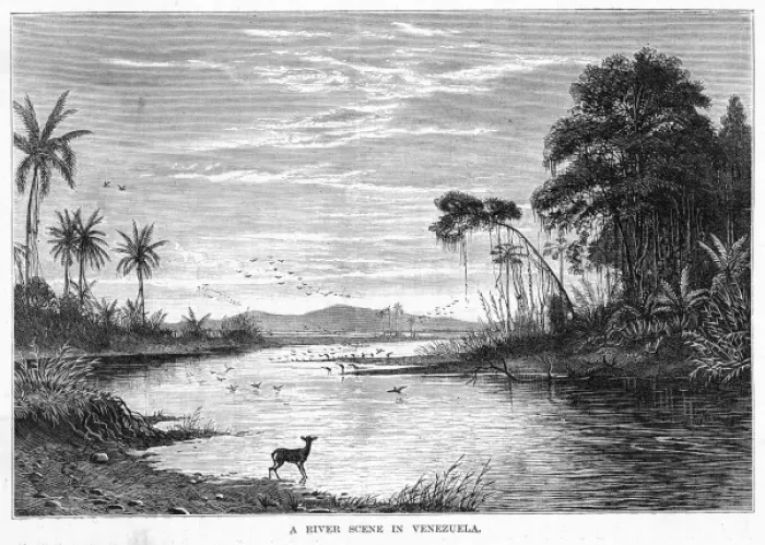 Framed Print : Venezuela Orinoco Framed Print : Venezuela Orinoco