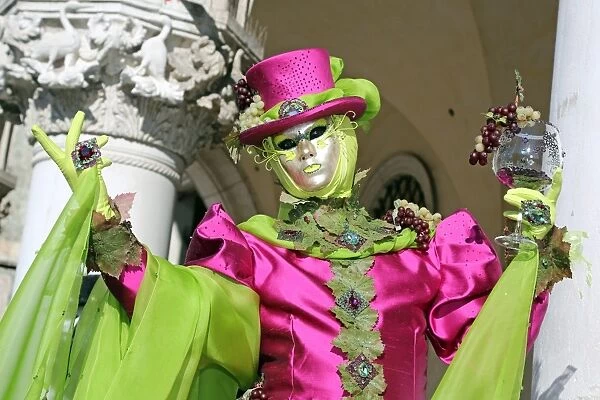 Venice Carnival Costume