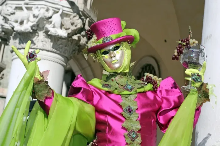 Framed Print : Venice Carnival Costume Framed Print : Venice Carnival Costume