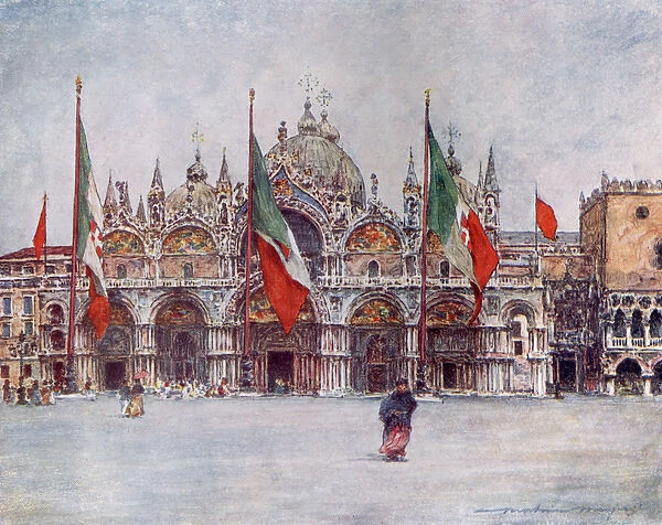 Venice  /  St Marks  /  Piazza