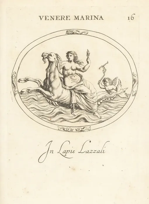 Framed Print : Venus riding Capricorn in the ocean Framed Print : Venus riding Capricorn in the ocean