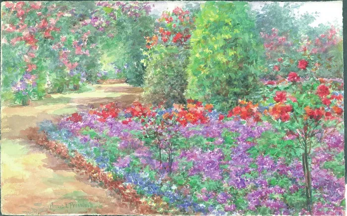 Framed Print : Verbenas in bloom'. Garden with path and flower borders Framed Print : Verbenas in bloom'. Garden with path and flower borders