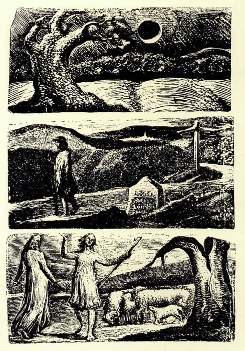 Framed Print : Vergil's First Eclogue Woodcuts Framed Print : Vergil's First Eclogue Woodcuts